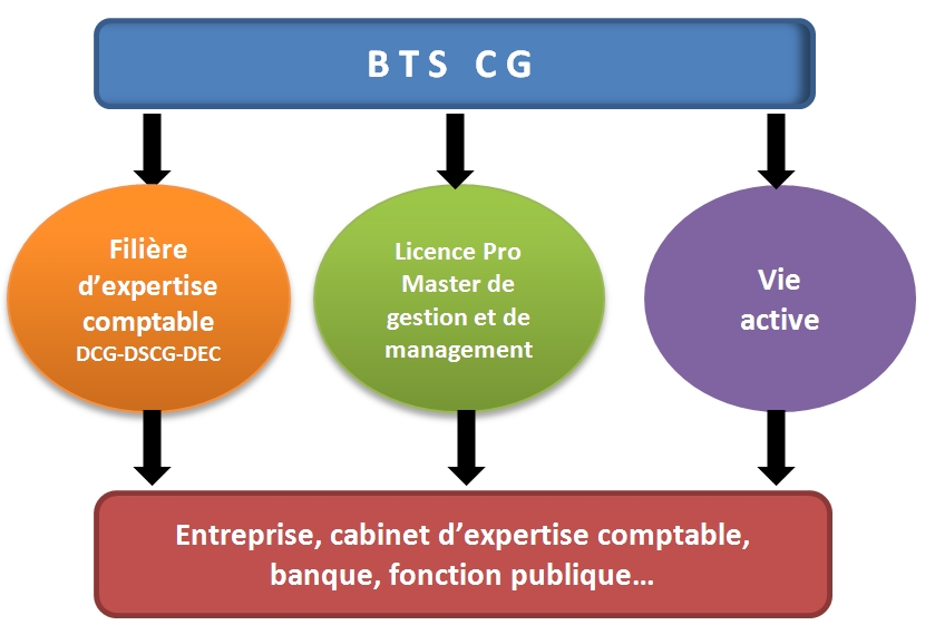 Bts Comptabilité En 1 An à Distance